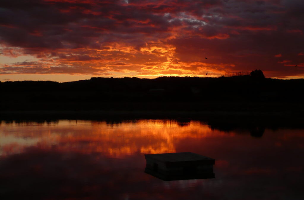 It’s always darkest before the dawn