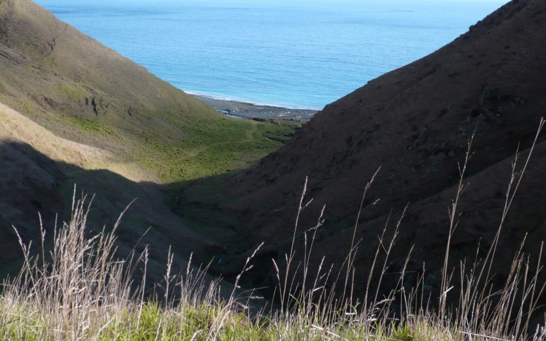 Where Does A House Sitter Without A Housesit Go?