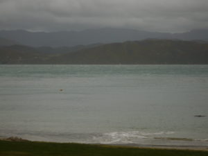 Last dive - Scorching Bay, Wellington