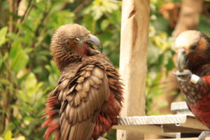 Lessons on letting go of anger