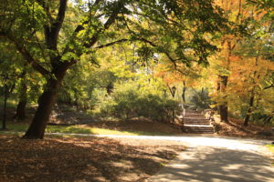 In a New York minute (Central Park and Greenwich Village)