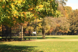 Batting cage on the Great Lawn