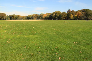 The Great Lawn