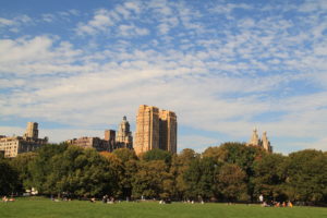 Sheep Meadow