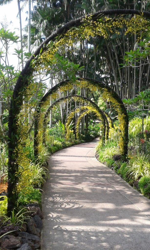 A beautiful walkway