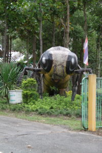  Watch out for giant bees! 