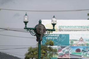  Turn left and keep an eye out for the LPG station with the elephant bridge. 