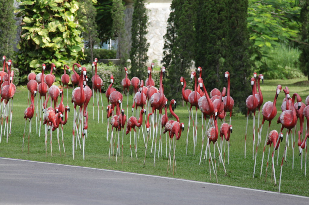 If you go past the flamingos you’ve gone too far.