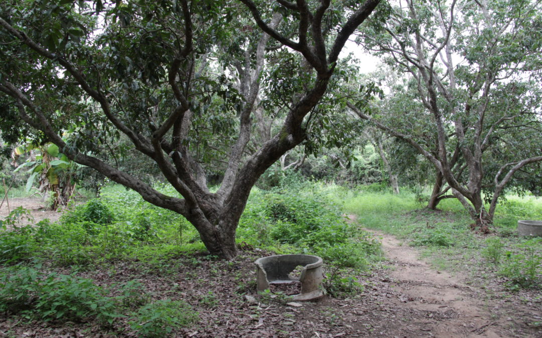 My new commute to “work” (Thai style)
