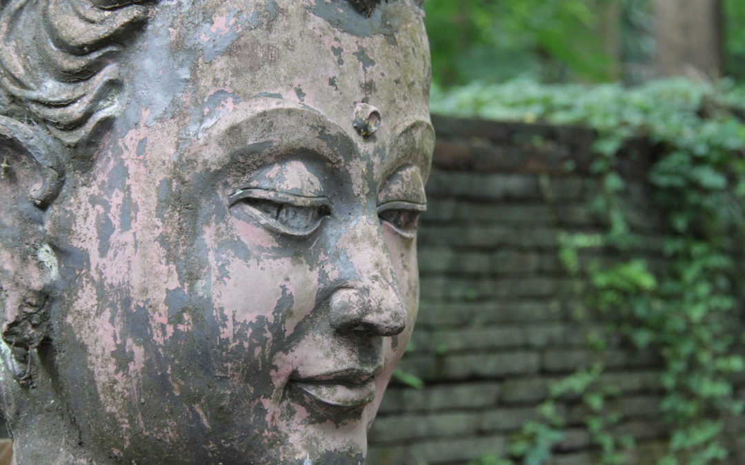 Wat Omong – a temple in the trees (Thailand)