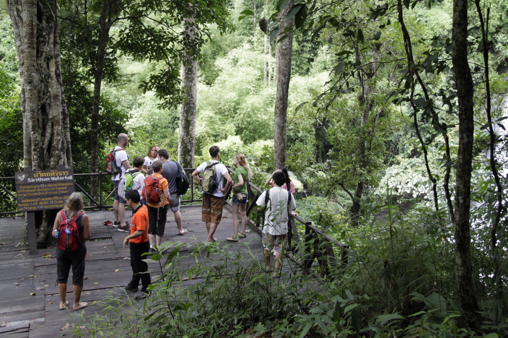 My fellow day trippers