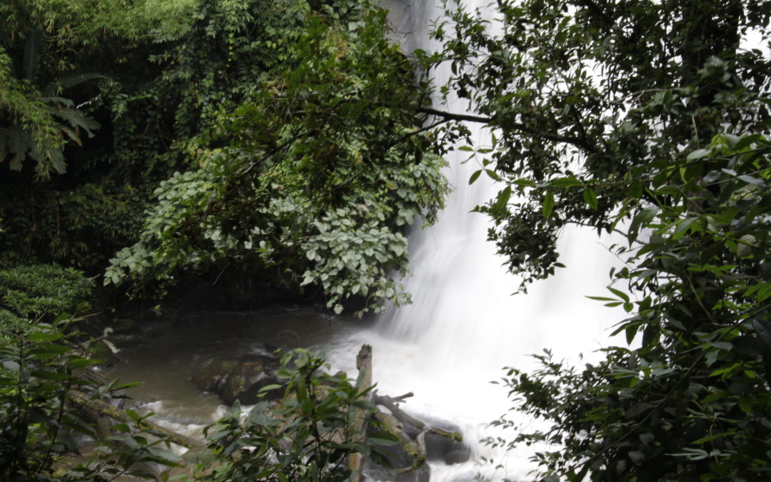 Doi Inthanon – highest of the high (Thailand)