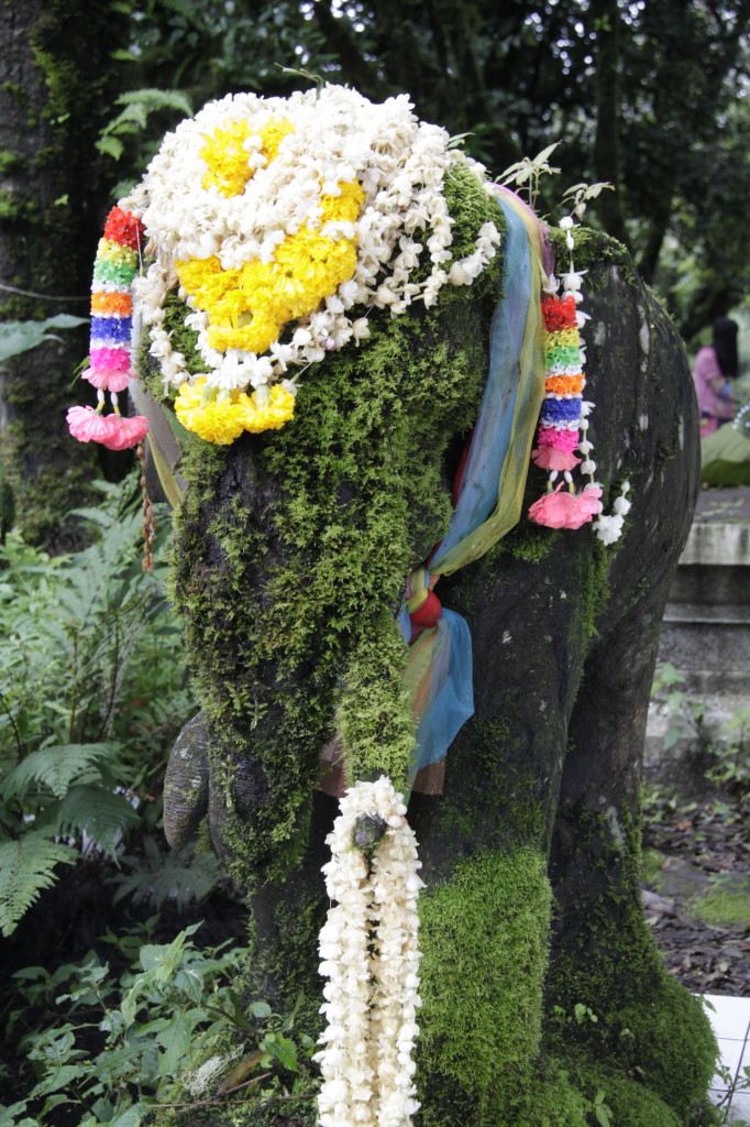 I would like one in my garden (when I get a garden that is)