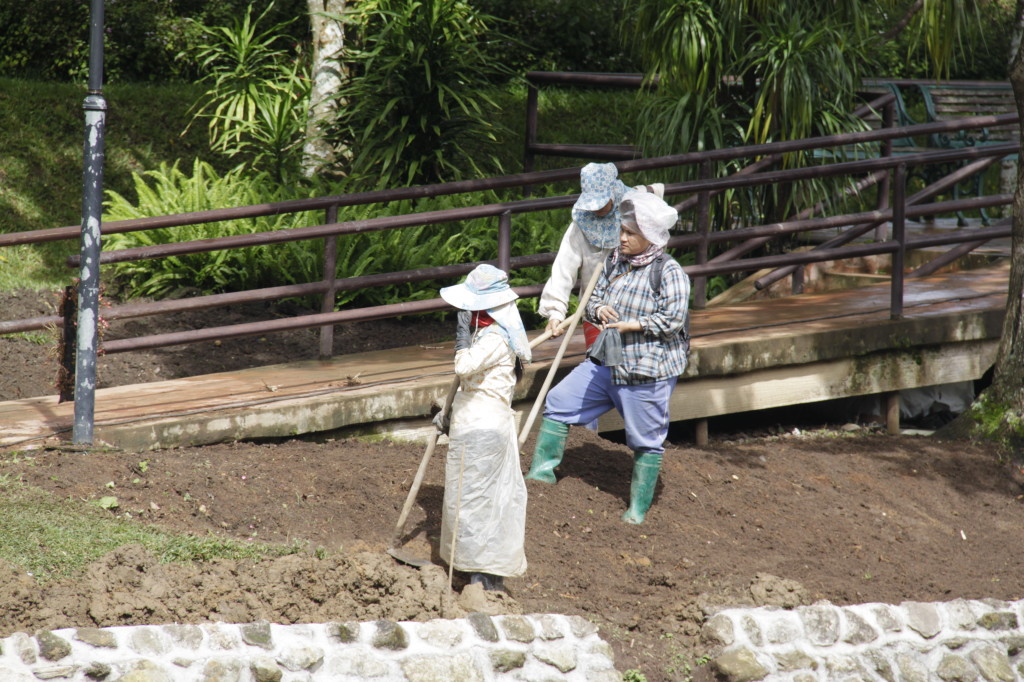 Hard at work at the Royal Project