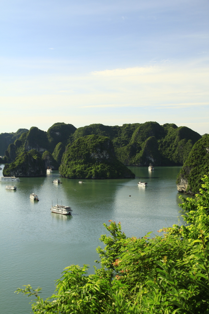 The view from the top was well worth the climb