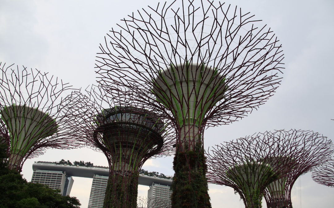 Singapore’s Gardens By The Bay