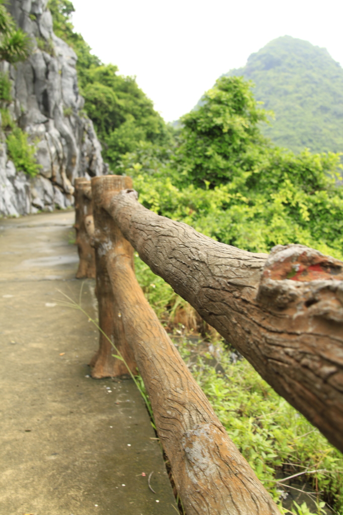 I love that someone went to the effort to make the concrete fence look like wood