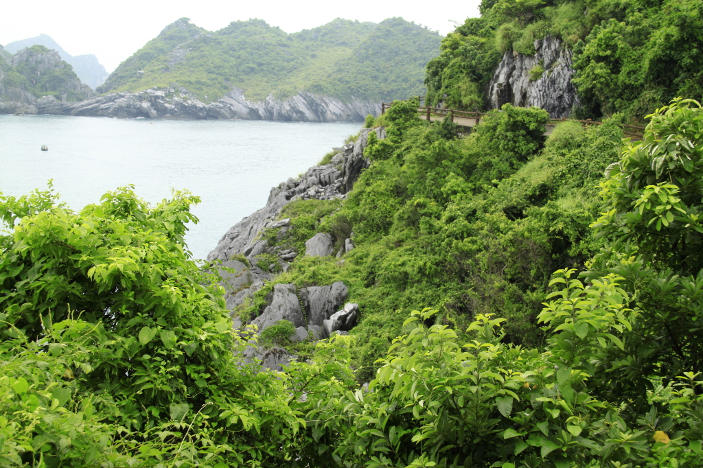 The trail between the beaches