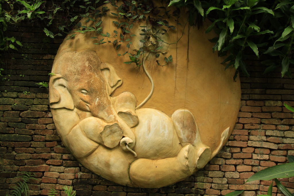 The happiest elephant