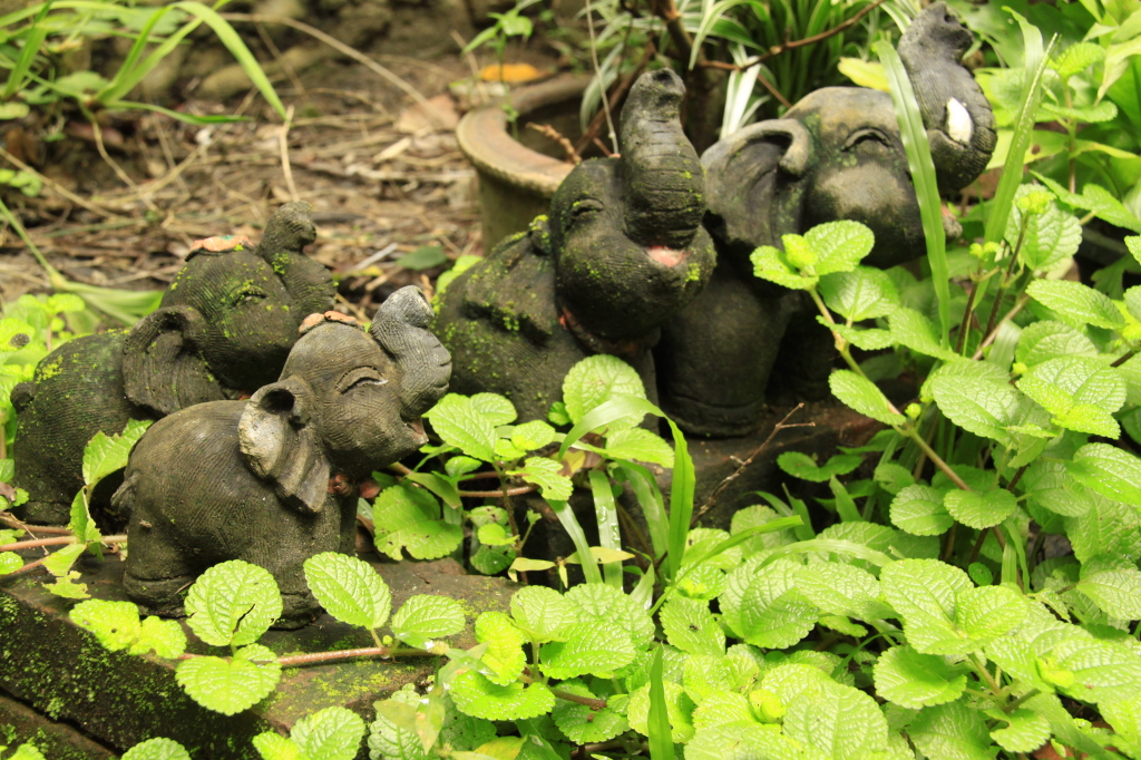 These little guys make me laugh when I look at them