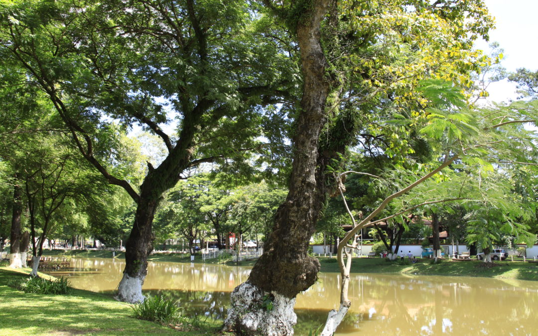 Siem Reap – relaxing by the river