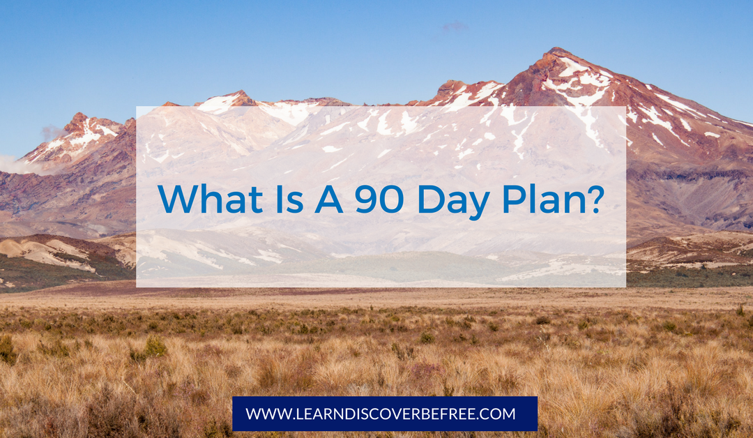 What is a 90 Day Plan?