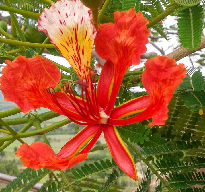 14 photos to make you want to visit Trinidad, Cuba