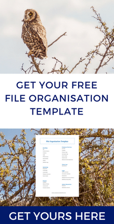 File organisation template