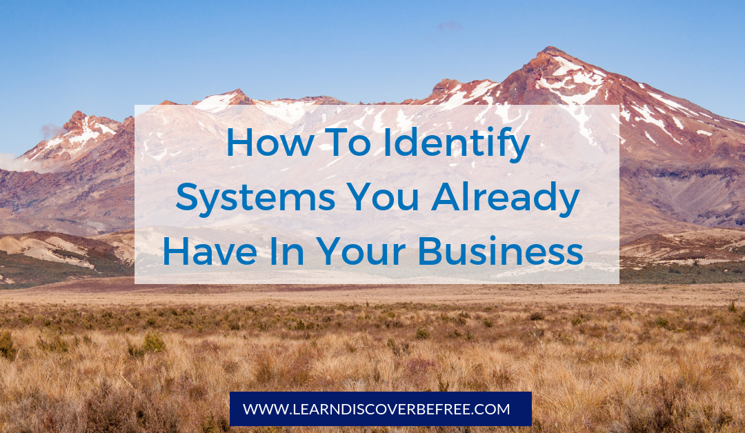 How To Identify Systems You Already Have In Your Business